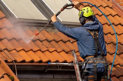 Démoussage et hydrofuge de toiture à Vaulry